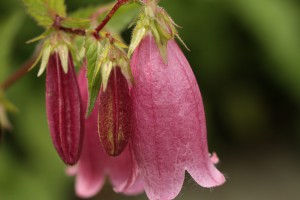 IMG_9841