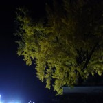 R9385149